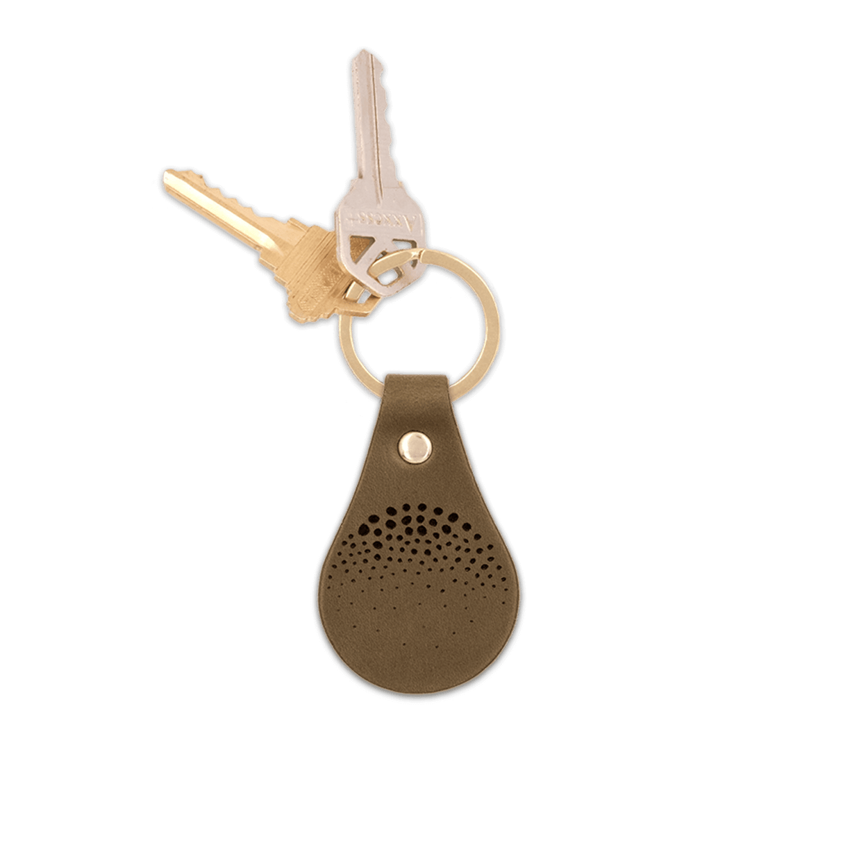 Protect the Salmon olive leather Tab Keychain, etched salmon skin design, brass hardware, keys