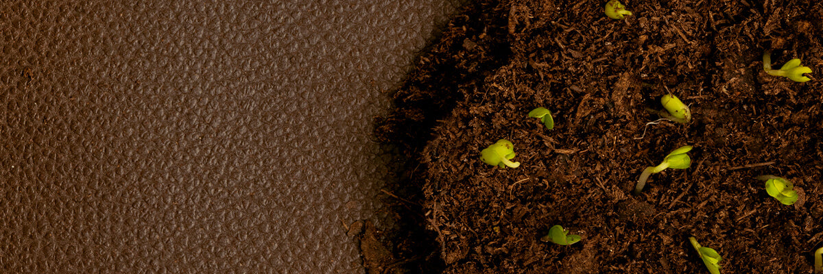 Clump of dirt with sprouting leaves on top of a brown plant-leather hide.