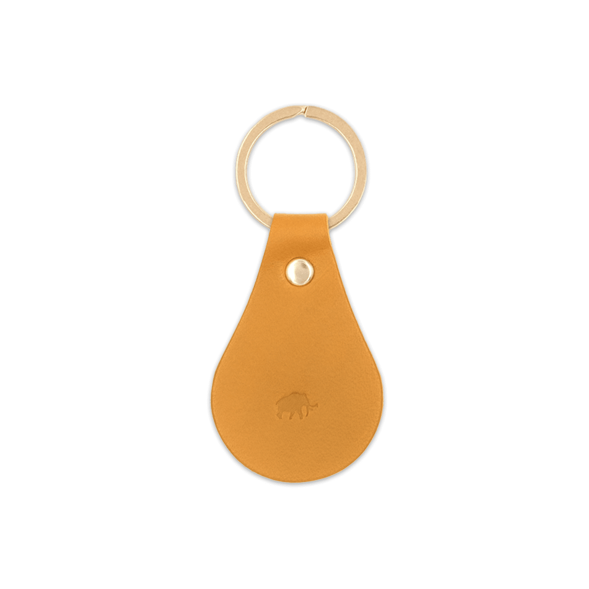 Tab Keychain in Gold