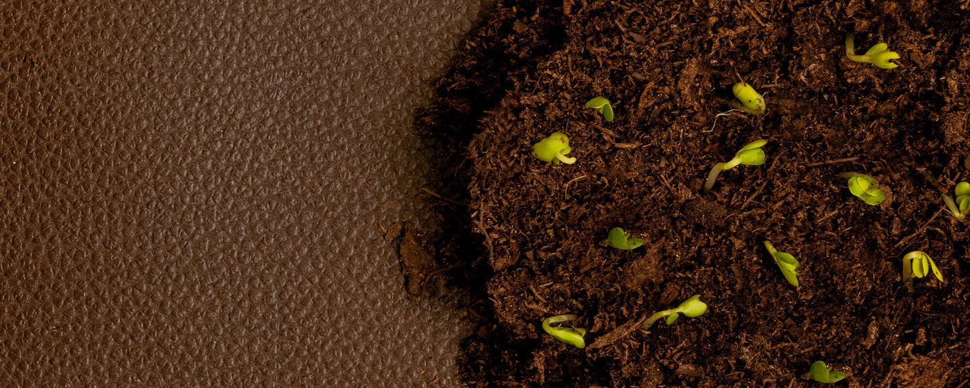 Top down view of a clump of dirt with sprouting leaves on top of a brown plant-leather hide.